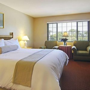 Queen Room Pet Friendly